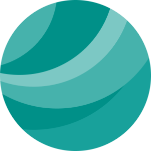 Organizer