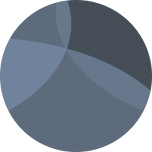 Organizer