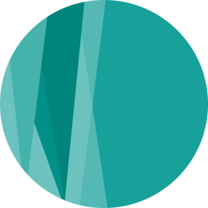 Organizer