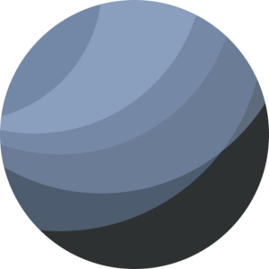 Organizer