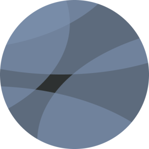 Organizer