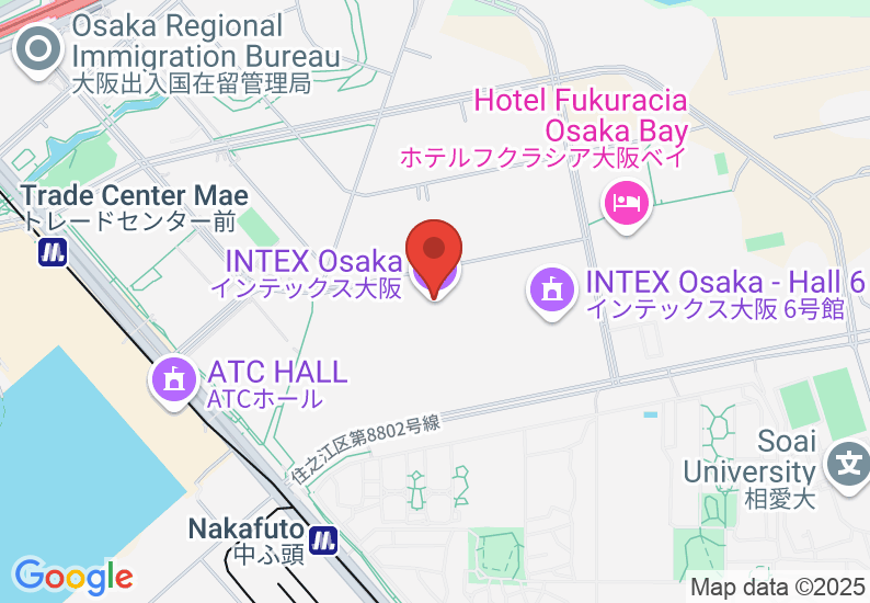 Google Map image