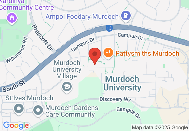 Google Map image