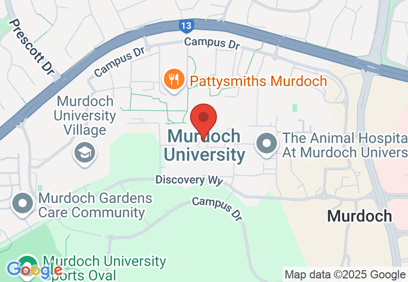 Google Map image
