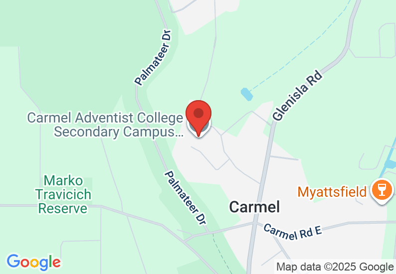 Google Map image
