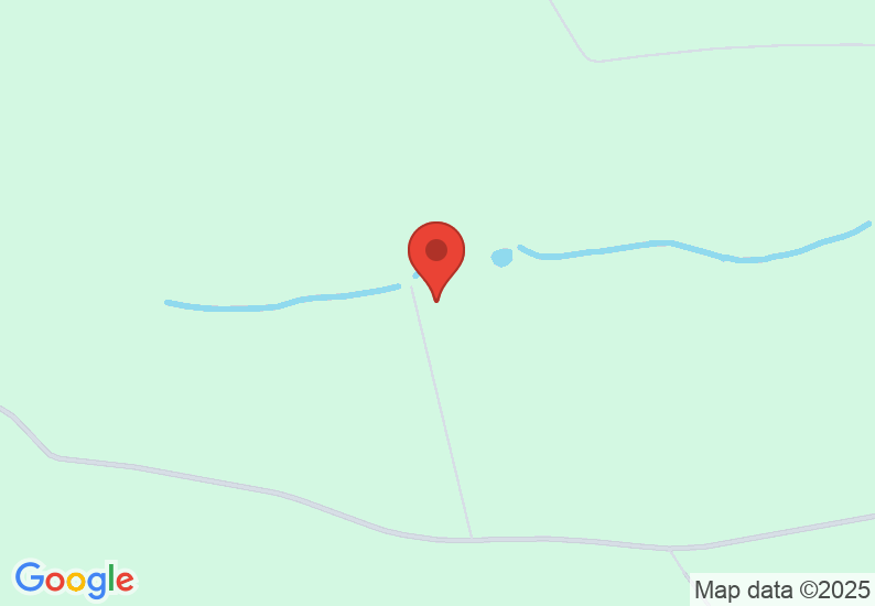Google Map image