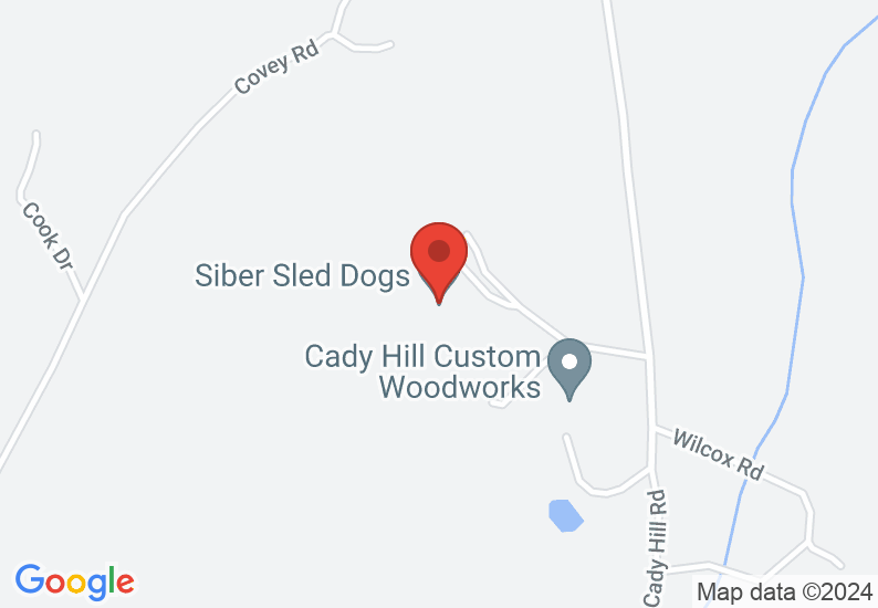 Google Map image