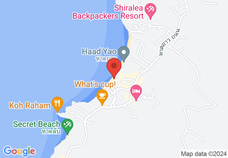 Google Map image