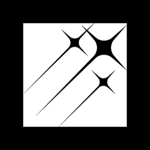 Organizer