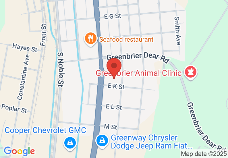 Google Map image