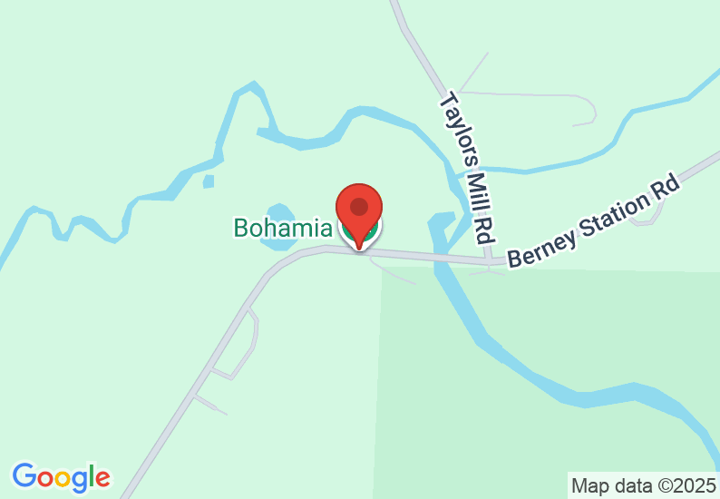 Google Map image