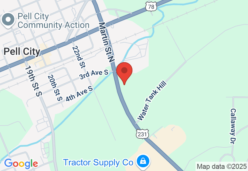 Google Map image
