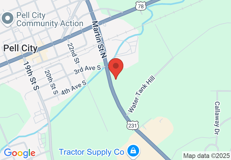 Google Map image