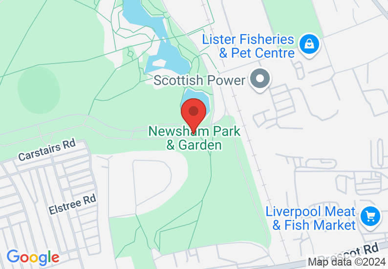Google Map image
