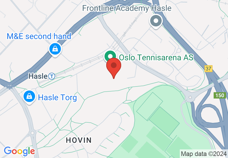Google Map image