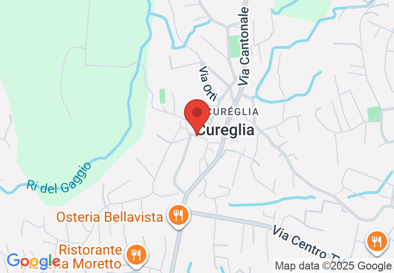 Google Map image