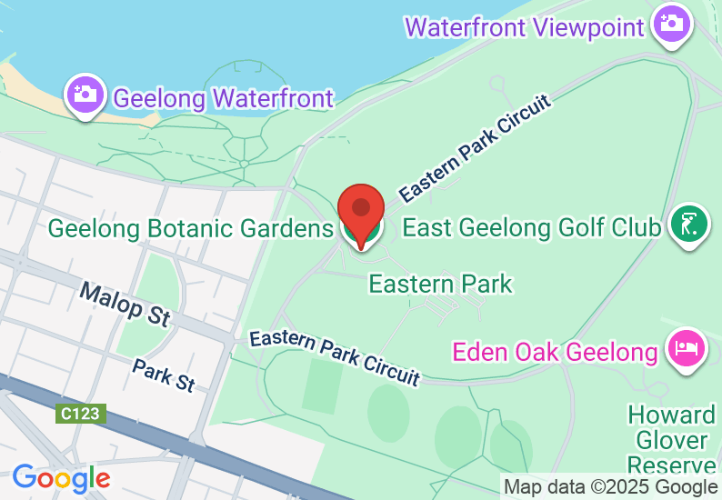 Google Map image