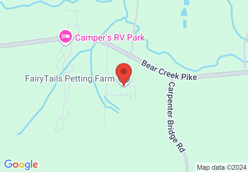 Google Map image