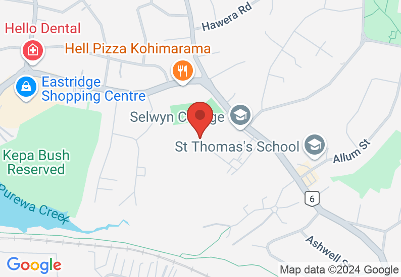Google Map image