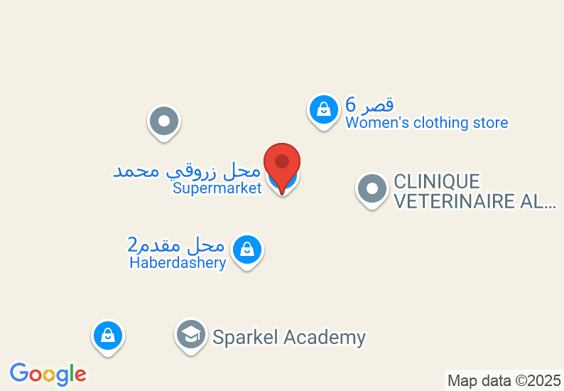 Google Map image
