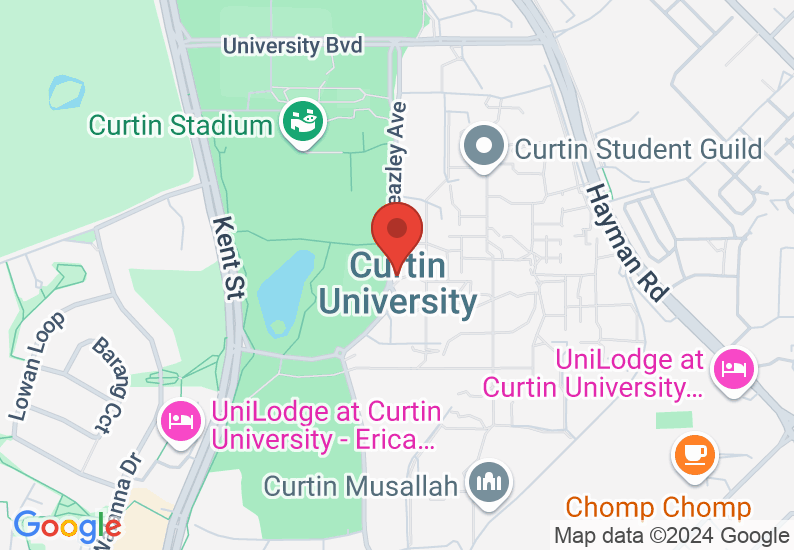 Google Map image