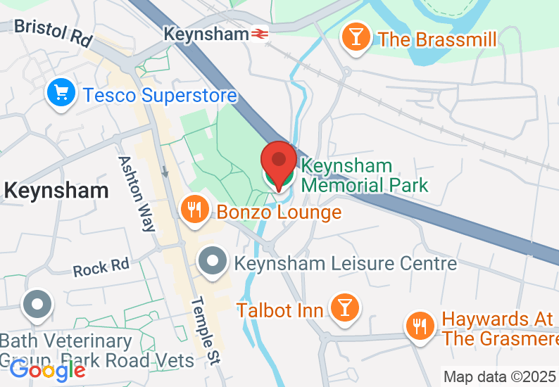 Google Map image