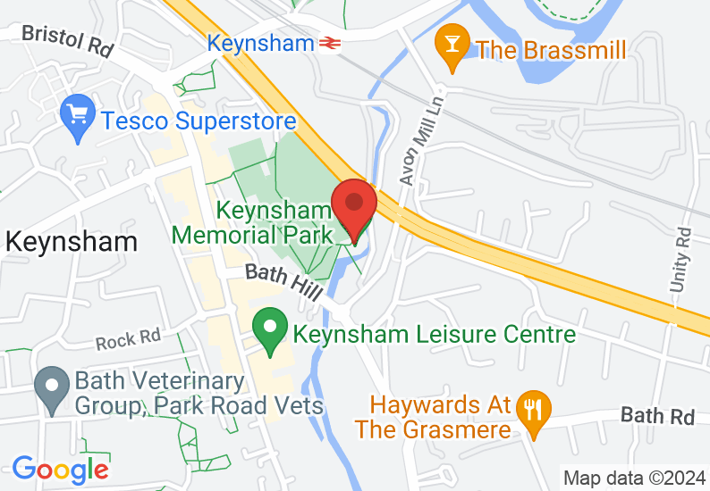 Google Map image