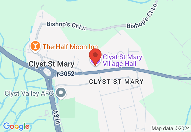 Google Map image