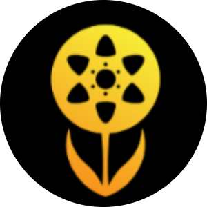 Organizer