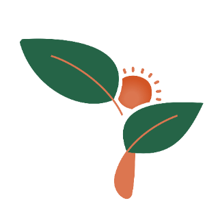 Organizer