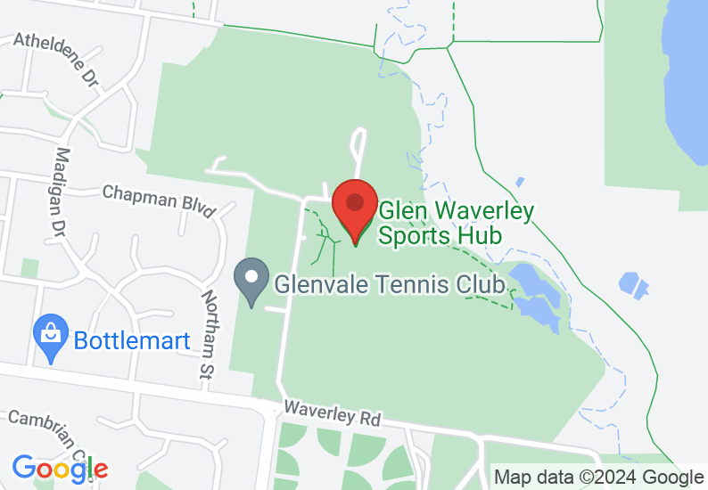Google Map image