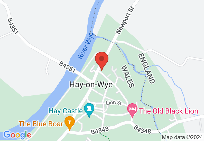Google Map image