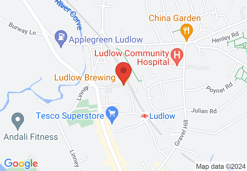 Google Map image