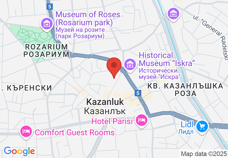 Google Map image