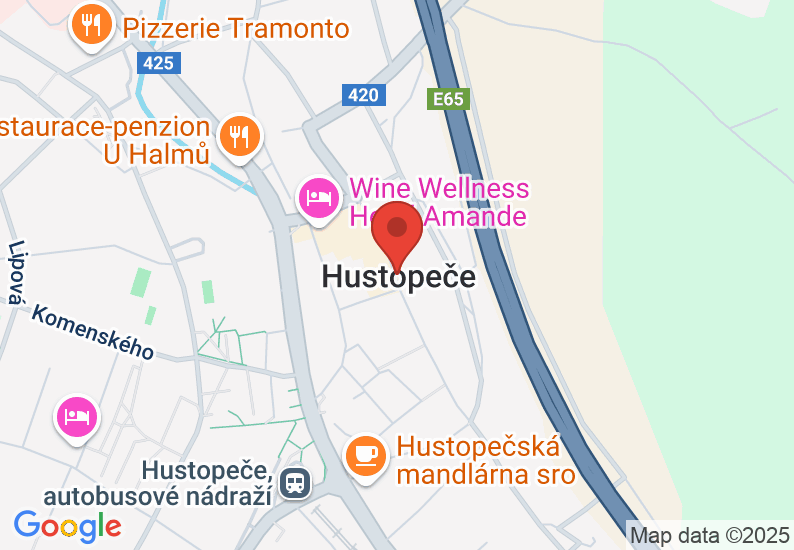 Google Map image