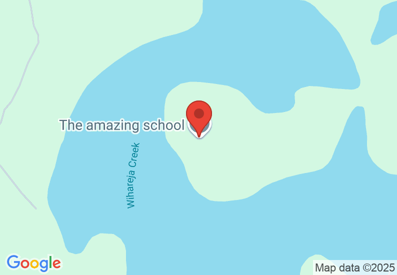 Google Map image