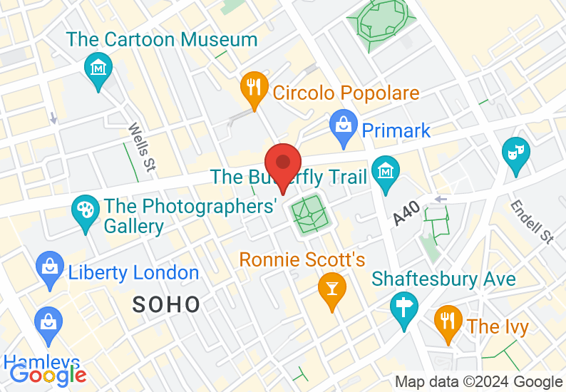 Google Map image