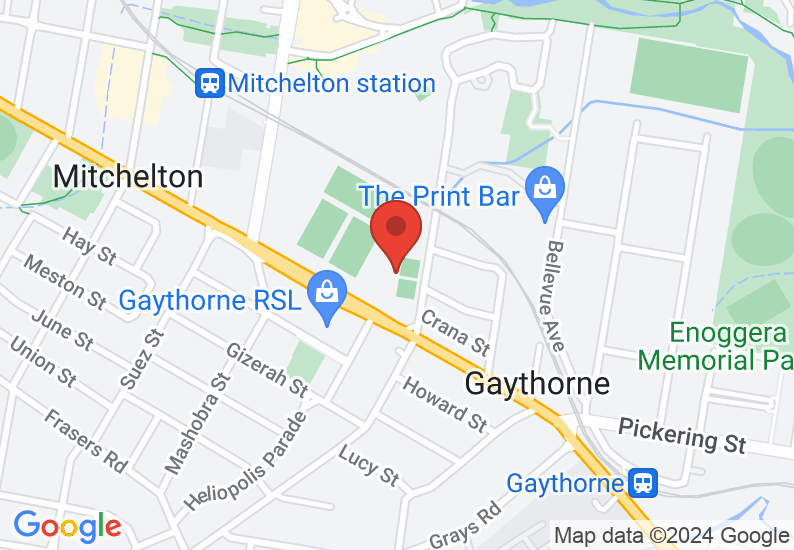 Google Map image