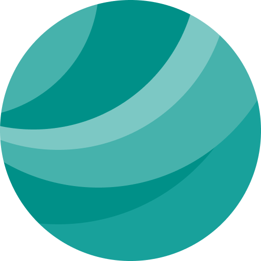 Organizer
