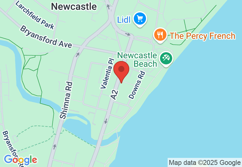 Google Map image
