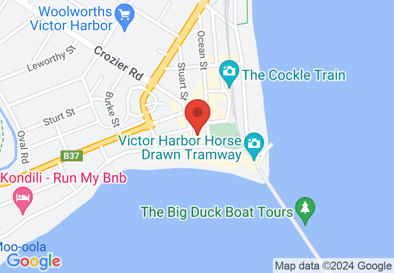 Google Map image