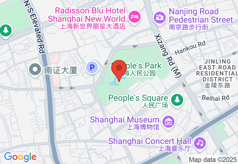 Google Map image