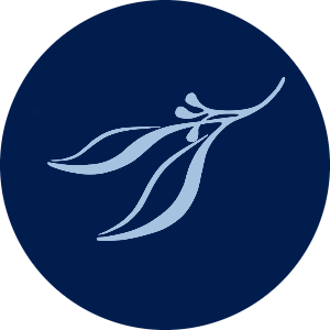 Organizer