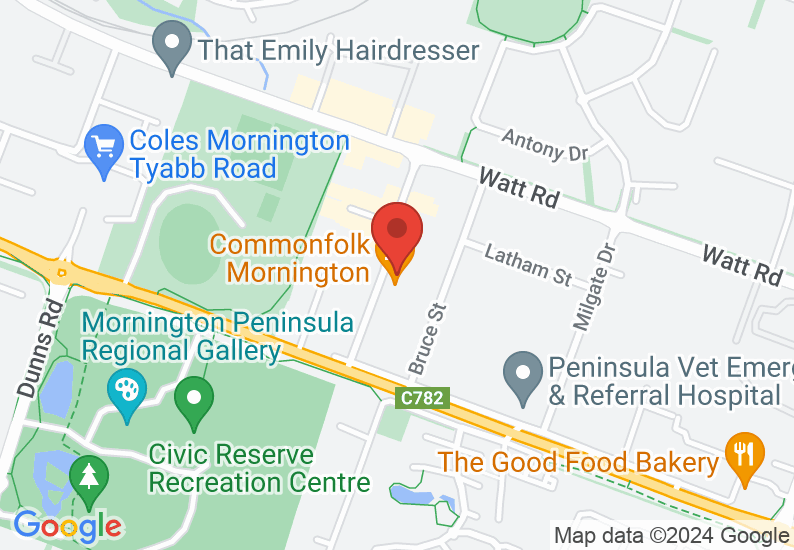 Google Map image