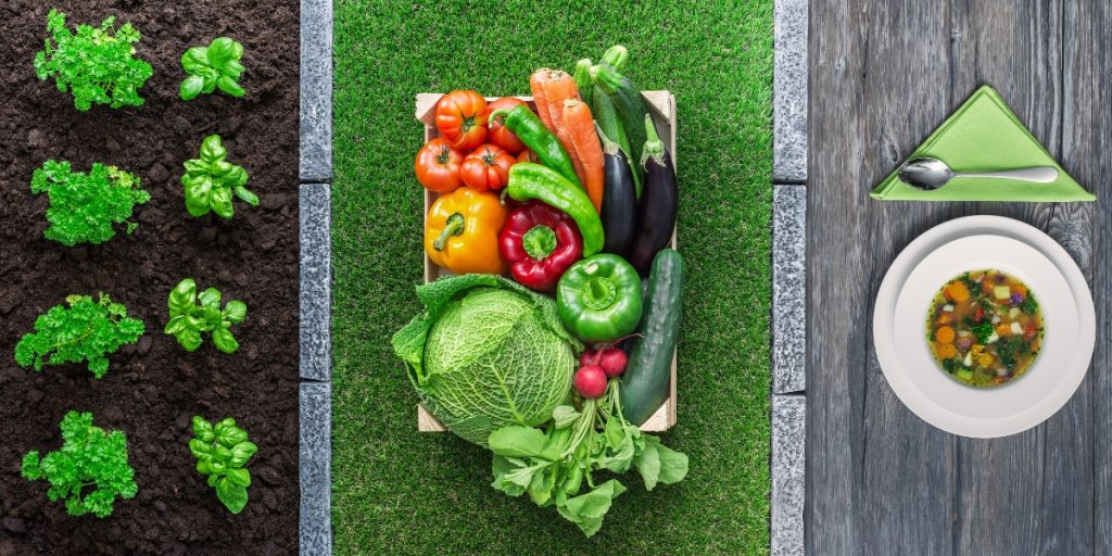 Farm-to-table catering idea