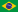 en_BR