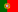 en_PT